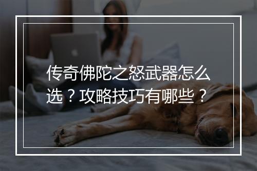 传奇佛陀之怒武器怎么选？攻略技巧有哪些？