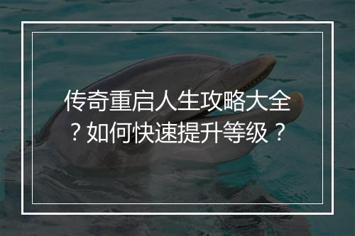 传奇重启人生攻略大全？如何快速提升等级？