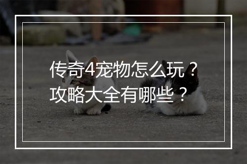 传奇4宠物怎么玩？攻略大全有哪些？