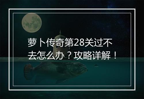 萝卜传奇第28关过不去怎么办？攻略详解！