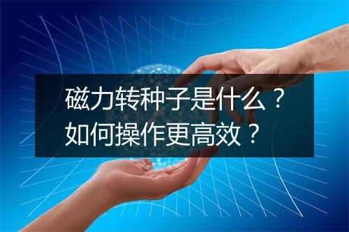 磁力转种子是什么？如何操作更高效？