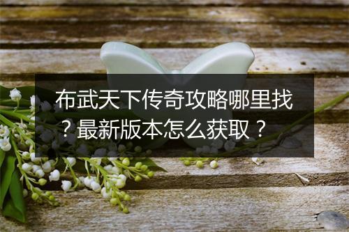 布武天下传奇攻略哪里找？最新版本怎么获取？
