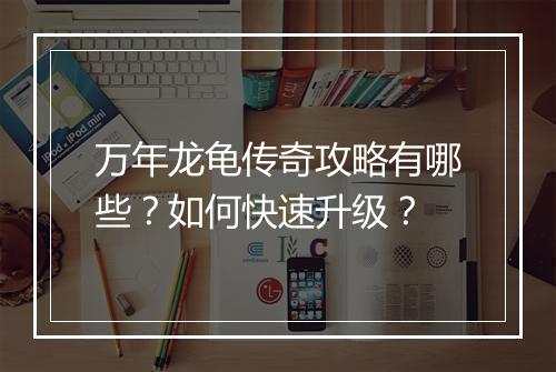 万年龙龟传奇攻略有哪些？如何快速升级？