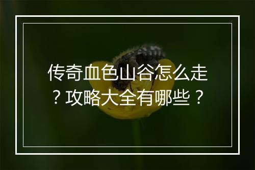 传奇血色山谷怎么走？攻略大全有哪些？