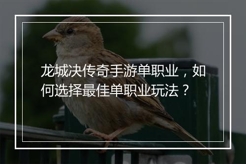 龙城决传奇手游单职业，如何选择最佳单职业玩法？