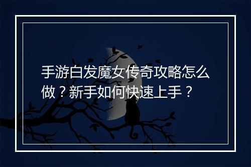 手游白发魔女传奇攻略怎么做？新手如何快速上手？