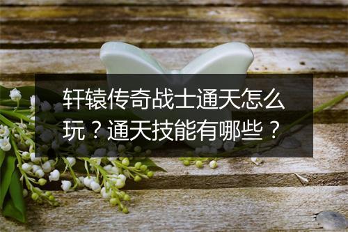 轩辕传奇战士通天怎么玩？通天技能有哪些？