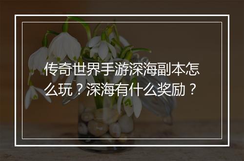 传奇世界手游深海副本怎么玩？深海有什么奖励？