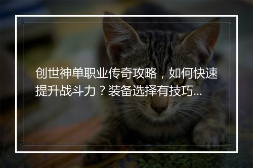 创世神单职业传奇攻略，如何快速提升战斗力？装备选择有技巧吗？