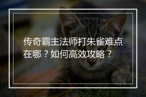 传奇霸主法师打朱雀难点在哪？如何高效攻略？