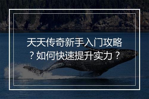 天天传奇新手入门攻略？如何快速提升实力？