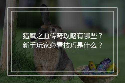猎鹰之血传奇攻略有哪些？新手玩家必看技巧是什么？