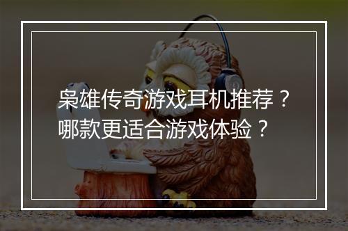 枭雄传奇游戏耳机推荐？哪款更适合游戏体验？