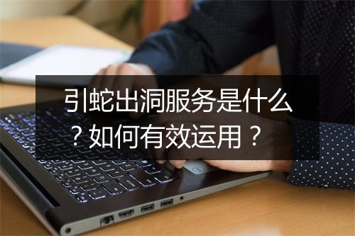 引蛇出洞服务是什么？如何有效运用？