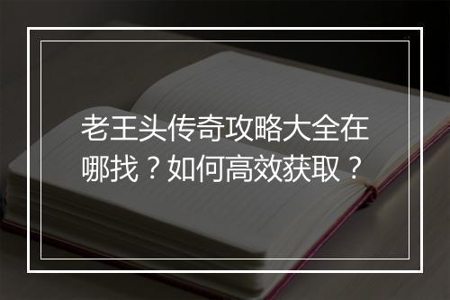 老王头传奇攻略大全在哪找？如何高效获取？