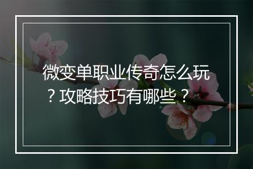 微变单职业传奇怎么玩？攻略技巧有哪些？