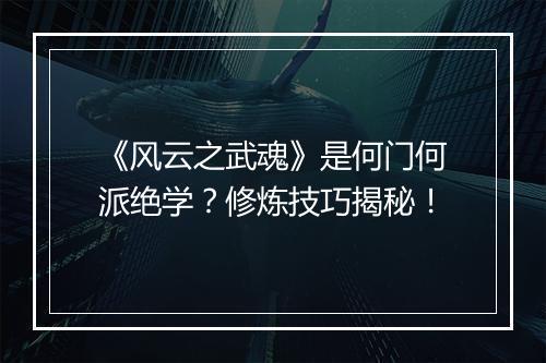 《风云之武魂》是何门何派绝学？修炼技巧揭秘！