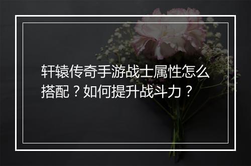 轩辕传奇手游战士属性怎么搭配？如何提升战斗力？