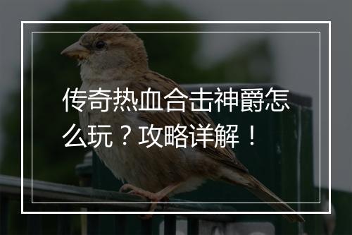 传奇热血合击神爵怎么玩？攻略详解！