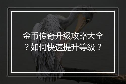 金币传奇升级攻略大全？如何快速提升等级？