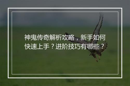 神鬼传奇解析攻略，新手如何快速上手？进阶技巧有哪些？