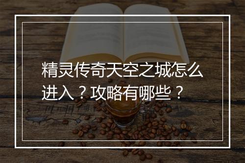 精灵传奇天空之城怎么进入？攻略有哪些？