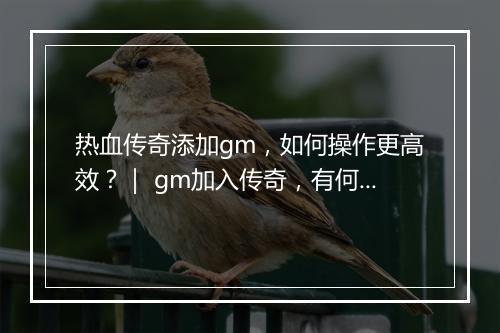 热血传奇添加gm，如何操作更高效？｜ gm加入传奇，有何技巧？