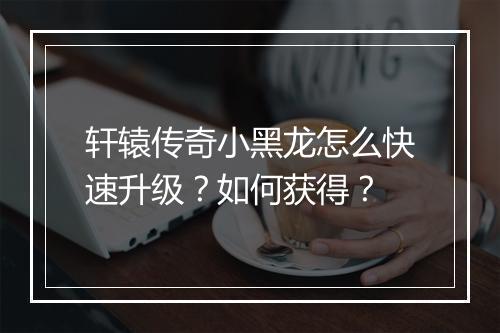 轩辕传奇小黑龙怎么快速升级？如何获得？