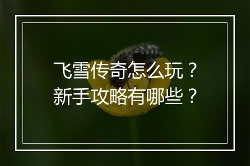 飞雪传奇怎么玩？新手攻略有哪些？