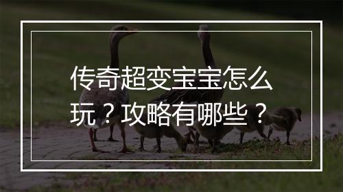 传奇超变宝宝怎么玩？攻略有哪些？