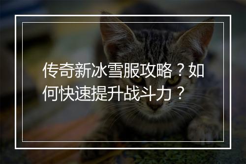 传奇新冰雪服攻略？如何快速提升战斗力？