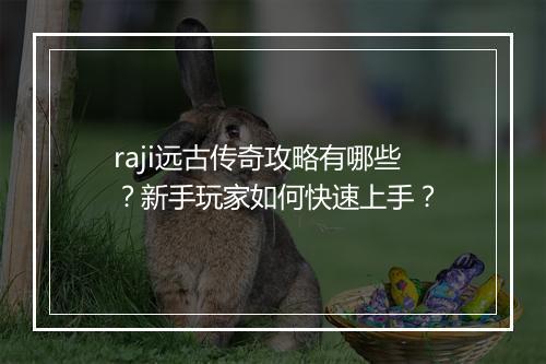 raji远古传奇攻略有哪些？新手玩家如何快速上手？