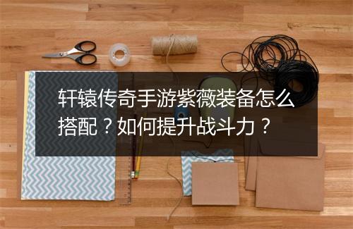 轩辕传奇手游紫薇装备怎么搭配？如何提升战斗力？