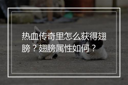 热血传奇里怎么获得翅膀？翅膀属性如何？