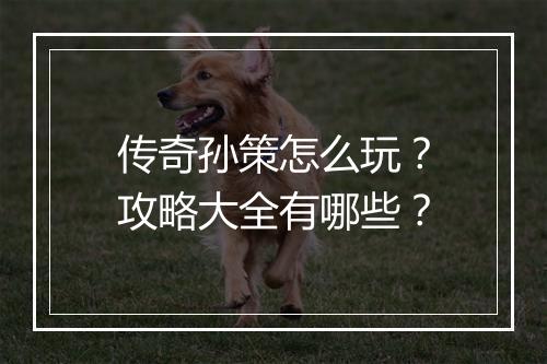 传奇孙策怎么玩？攻略大全有哪些？