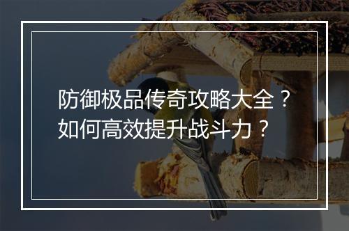 防御极品传奇攻略大全？如何高效提升战斗力？
