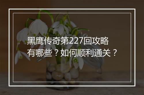 黑鹰传奇第227回攻略有哪些？如何顺利通关？