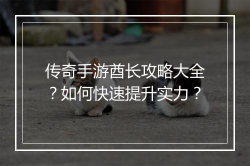 传奇手游酋长攻略大全？如何快速提升实力？