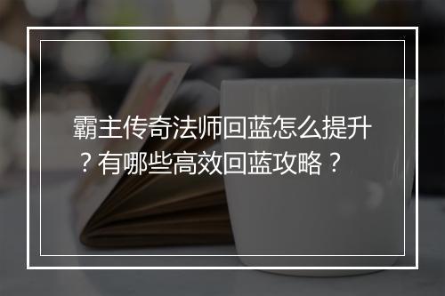 霸主传奇法师回蓝怎么提升？有哪些高效回蓝攻略？