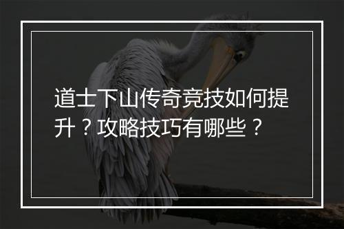 道士下山传奇竞技如何提升？攻略技巧有哪些？