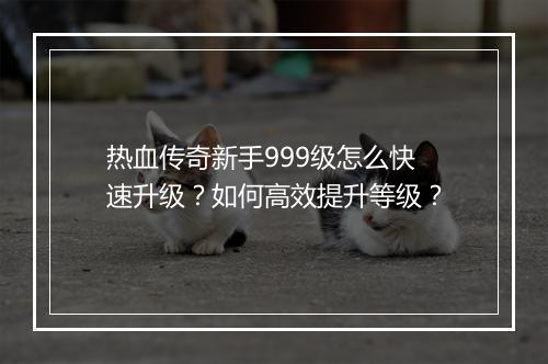 热血传奇新手999级怎么快速升级？如何高效提升等级？