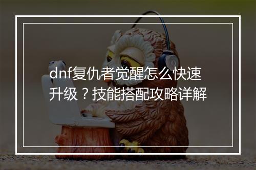 dnf复仇者觉醒怎么快速升级？技能搭配攻略详解