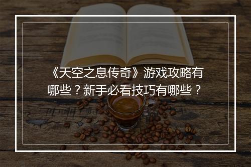 《天空之息传奇》游戏攻略有哪些？新手必看技巧有哪些？