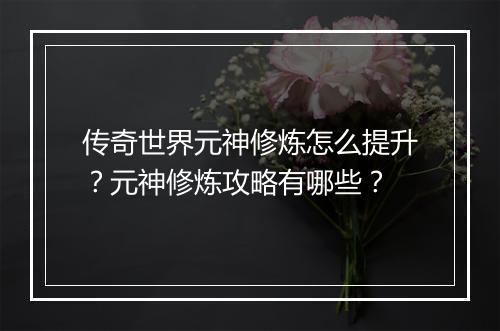 传奇世界元神修炼怎么提升？元神修炼攻略有哪些？
