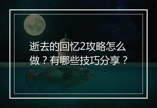 逝去的回忆2攻略怎么做？有哪些技巧分享？