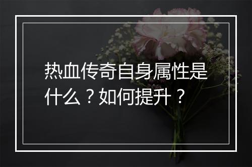 热血传奇自身属性是什么？如何提升？