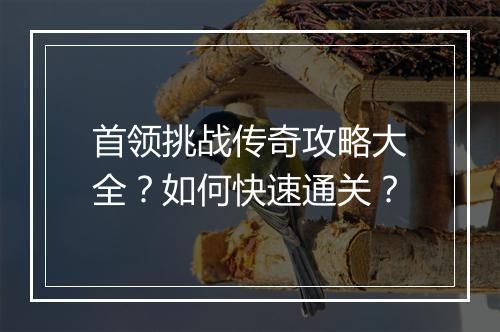 首领挑战传奇攻略大全？如何快速通关？