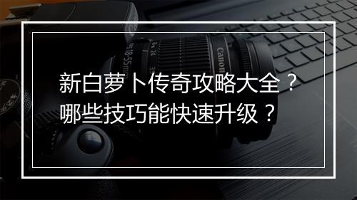 新白萝卜传奇攻略大全？哪些技巧能快速升级？