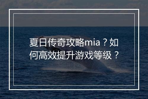 夏日传奇攻略mia？如何高效提升游戏等级？