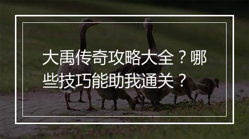 大禹传奇攻略大全？哪些技巧能助我通关？